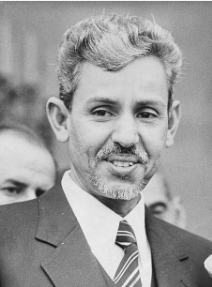 المصطفى ولد محمد السالك