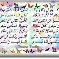 الادب الحساني الموريتاني